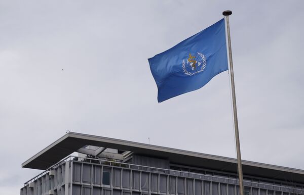 UN Health Agency Plans Release of Sterile Mosquitoes to Fight Dengue, Other Diseases - Sputnik International