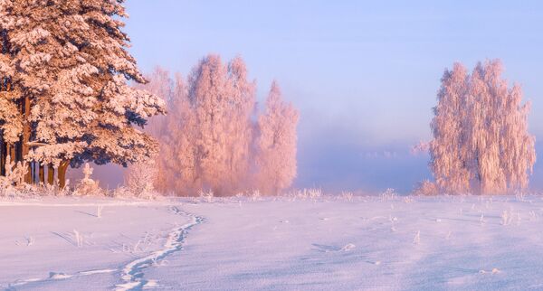 The dramatic frozen countryside of Belarus. - Sputnik International