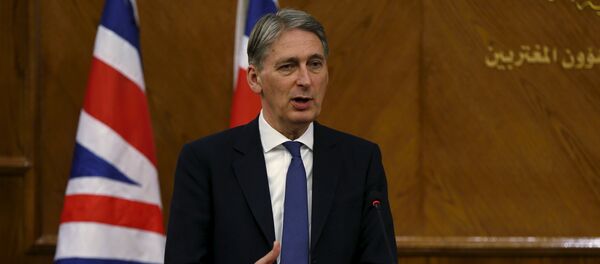 Britain's Foreign Secretary Philip Hammond speaks during a joint news conference with Jordan's Foreign Minister Nasser Judeh at the Foreign Ministry in Amman, Jordan, February 1, 2016 - Sputnik International