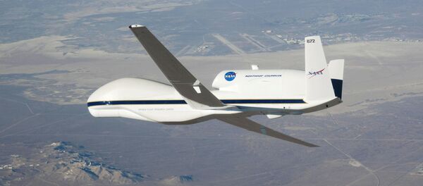 NASA's Global Hawk drone NASA's Global Hawk drone - Sputnik International