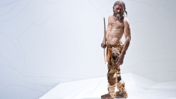 Reconstruction of Ötzi the Iceman - Sputnik International