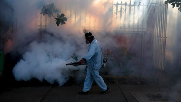 A health ministry worker fumigates a house to kill mosquitoes during a campaign against dengue and chikungunya and to prevent the entry of Zika virus in Managua, Nicaragua - Sputnik International