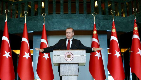 Turkey's President Tayyip Erdogan addresses the audience during a meeting in Ankara, January 12, 2016. - Sputnik International