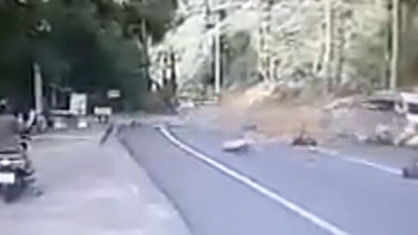 A falling tree almost hits a Van - Sputnik International