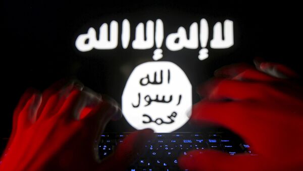 A man types on a keyboard in front of a computer screen on which an Islamic State flag is displayed, in this picture illustration taken in Zenica, Bosnia and Herzegovina, February 6, 2016 - Sputnik International