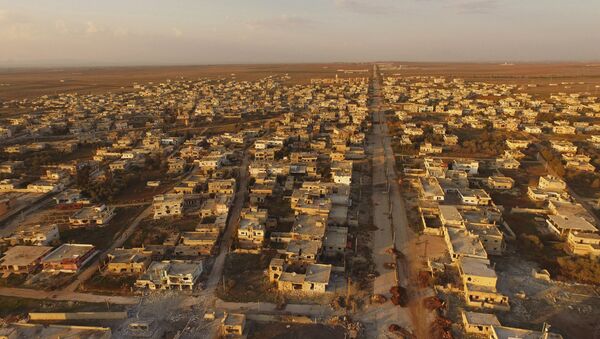 Syria's Osman village freed from terrorists - Sputnik International