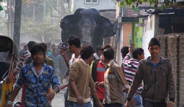 A wild elephant that strayed into the town moves through the streets as people follow at Siliguri in West Bengal state, India, Wednesday, Feb. 10, 2016. A wild elephant that strayed into the town moves through the streets as people follow at Siliguri in West Bengal state, India, Wednesday, Feb. 10, 2016. - Sputnik International