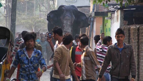 Massive Elephant Wreaks Havoc on Indian Town (PHOTOS, VIDEO) - Sputnik International