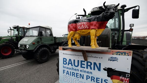 This picture taken on November 13, 2015 shows a placard on a tractor reading Farmers need a fair price - 50 cents per liter milk during a demonstration on the European bridge, between Strasbourg and Kehl, as part of a claim for fair milk prices, lower dairy quotas and a better hold on production - Sputnik International
