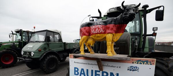 This picture taken on November 13, 2015 shows a placard on a tractor reading Farmers need a fair price - 50 cents per liter milk during a demonstration on the European bridge, between Strasbourg and Kehl, as part of a claim for fair milk prices, lower dairy quotas and a better hold on production This picture taken on November 13, 2015 shows a placard on a tractor reading Farmers need a fair price - 50 cents per liter milk during a demonstration on the European bridge, between Strasbourg and Kehl, as part of a claim for fair milk prices, lower dairy quotas and a better hold on production - Sputnik International