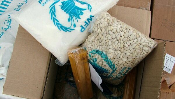 Russia delivered humanitarian aid to Syrian Kessab, Latakia Province - Sputnik International