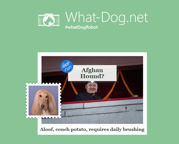 Kim Jong Un Kim Jong Un - Sputnik International