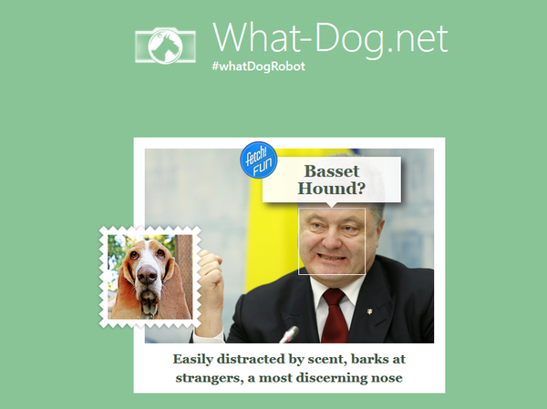 Petro Poroshenko at the what-dog.net Petro Poroshenko at the what-dog.net - Sputnik International