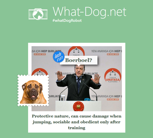 Recep Tayyip Erdogan at the what-dog.net Recep Tayyip Erdogan at the what-dog.net - Sputnik International