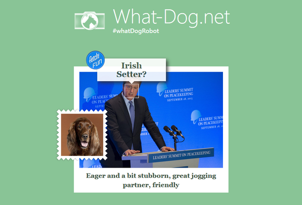 David Cameron at the what-dog.net David Cameron at the what-dog.net - Sputnik International