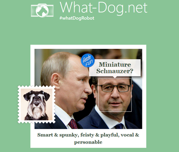 Francois Hollande at the what-dog.net Francois Hollande at the what-dog.net - Sputnik International