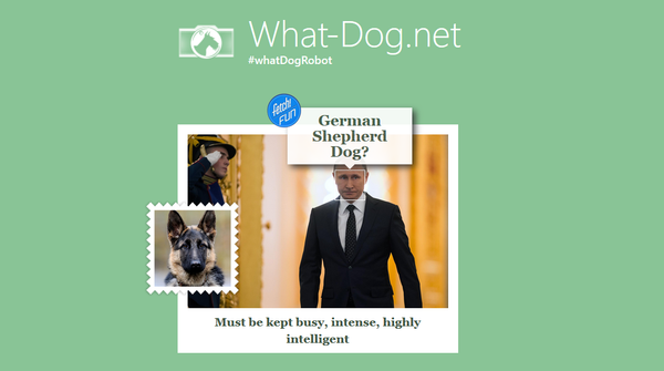 Vladimir Putin at the what-dog.net Vladimir Putin at the what-dog.net - Sputnik International