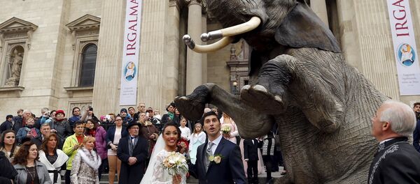 Feel the Vibrant Spirit of Valentine’s Day Embracing the World Feel the Vibrant Spirit of Valentine’s Day Embracing the World - Sputnik International