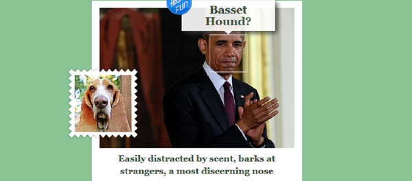 Barack Obama at the what-dog.net Barack Obama at the what-dog.net - Sputnik International