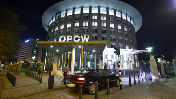 A car arrives at the headquarters of the Organization for the Prohibition of Chemical Weapons, OPCW, in The Hague, Netherlands. - Sputnik International