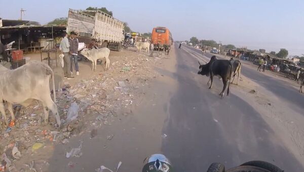 From Denmark to Thailand (Indo-Burmese border) - Sputnik International