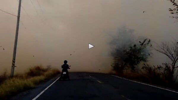 Driving through thick smoke is never a good idea - Sputnik International