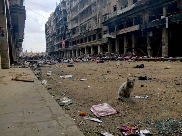 A street in the Old Town of Aleppo. A street in the Old Town of Aleppo. - Sputnik International