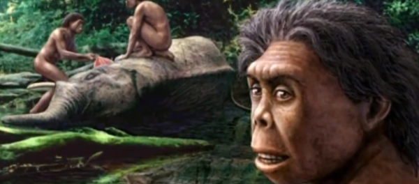 Homo Floresiensis Homo Floresiensis - Sputnik International