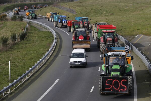French livestock farmers arrive by tractor in Rennes, France, to protest falling prices on February 17, 2016 - Sputnik International