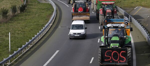 French livestock farmers arrive by tractor in Rennes, France, to protest falling prices February 17, 2016 French livestock farmers arrive by tractor in Rennes, France, to protest falling prices February 17, 2016 - Sputnik International