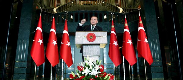 Turkish President Tayyip Erdogan makes a speech during a meeting in Ankara, Turkey February 17, 2016, in this handout photo provided by the Presidential Palace Turkish President Tayyip Erdogan makes a speech during a meeting in Ankara, Turkey February 17, 2016, in this handout photo provided by the Presidential Palace - Sputnik International