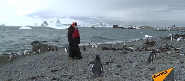 Orthodox Patriarch Kirill Meets Penguins in Antarctica Orthodox Patriarch Kirill Meets Penguins in Antarctica - Sputnik International