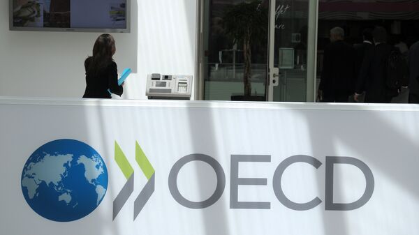 A participant stands at the OECD headquarters in Paris during the presentation of the Economic Outlook at the 2013 OECD Week on May 29, 2013 - Sputnik International