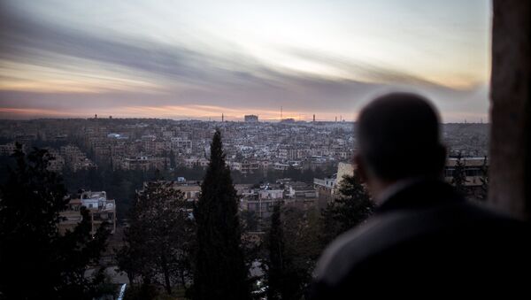 A view of the city of Aleppo - Sputnik International