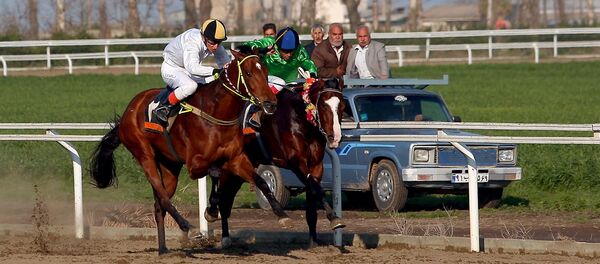 Horse Racing Season Off to a Start in Iran - Sputnik International