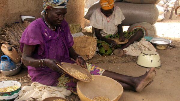 Women sift grains of maize among sacks of grain in a grains market in the northern Nigerian town of Maiadua on the border with Niger - Sputnik International