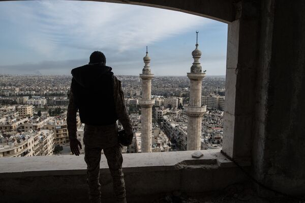 A soldier of the Syrian Arab Army is seen here in Aleppo A soldier of the Syrian Arab Army is seen here in Aleppo - Sputnik International