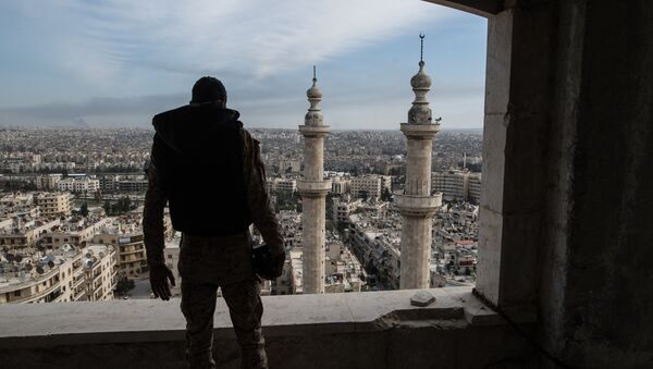 A soldier of the Syrian Arab Army is seen here in Aleppo - Sputnik International