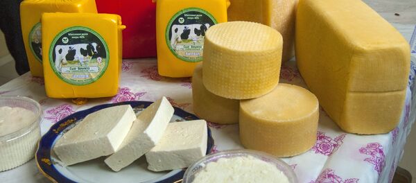 Alfa farm in Belgorod Region Alfa farm in Belgorod Region - Sputnik International