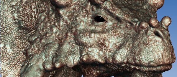 Pareiasaurs Pareiasaurs - Sputnik International