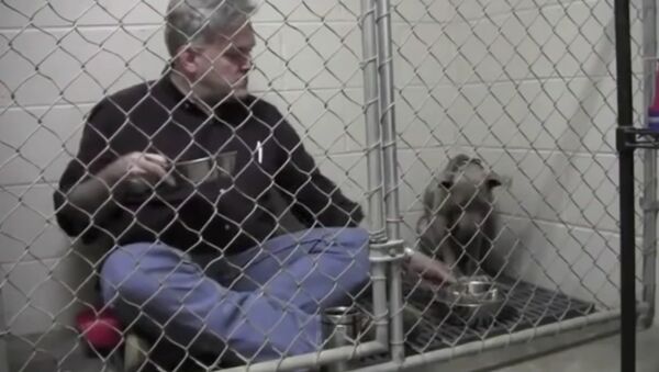The adorable moment veterinarian comforts a scared, abandoned dog by sitting in its cage and eating - Sputnik International