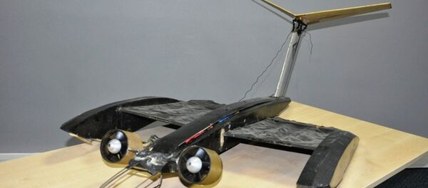 PN 10-16 Bat-flight inspires unique design for Micro Air Vehicles PN 10-16 Bat-flight inspires unique design for Micro Air Vehicles - Sputnik International