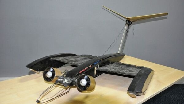 PN 10-16 Bat-flight inspires unique design for Micro Air Vehicles - Sputnik International