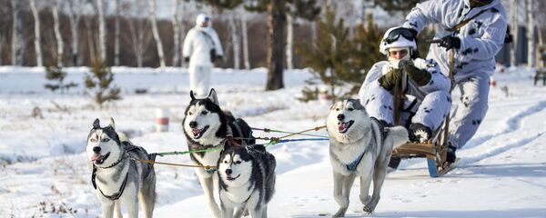 Far Eastern Command College in Amur region - Sputnik International