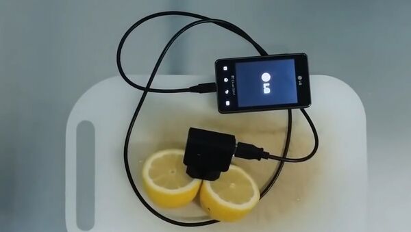 How to charge your phone with lemon .lemon phone charger - Sputnik International