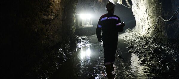 Miner Miner - Sputnik International