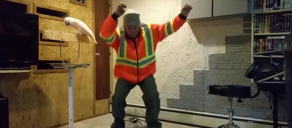 How to fix a round cage - Sputnik International