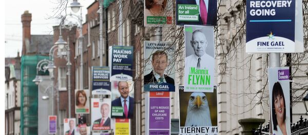 A picture shows campaign posters for the parliamentary elections on lamposts in Dublin, Ireland, on February 21, 2016. - Sputnik International