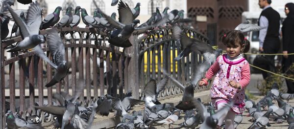 A Syrian girl chases pigeons in Marjeh Square, Damascus, Syria, Saturday, Feb. 27, 2016 - Sputnik International