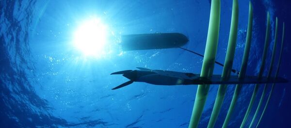 A Wave Glider SV3 with its hybrid propulsion system. - Sputnik International